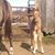 Patricia Sadler's profile image
