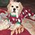 Rachele Lou Nigro's profile image