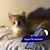 Barbara Humphrey's profile image