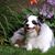Mickey Brandmeyer's profile image