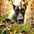Leann Troutman's profile image
