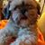 Debra Nelson Hutson's profile image