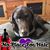Carole Harris Sharp's profile image