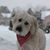 Rosemarie Duff Pedersen's profile image