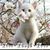 Kim Ehalt Osmonson's profile image