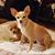 Laurie Parmley's profile image