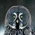 Pam Brecht's profile image