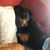 Julie Marie Allen's profile image