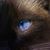 Odessa Kelley's profile image
