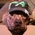 Darryn S DeMarce's profile image