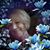 Carol Pauley's profile image