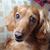 Kristine Twardy Todd's profile image