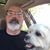 Stephen Strang's profile image
