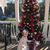 Brenda Villella's profile image