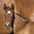 Robin Morris's profile image