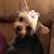 Maureen Wiley Ray's profile image