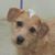 Deb Peterson's profile image