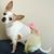 Rhonda King's profile image
