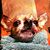 Lookie Loo's profile image