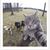 Trudy Miller's profile image