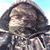 Tie Lee's profile image