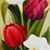 Teresa M Rodriguez's profile image