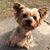 Bella Olivares's profile image