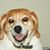 Daisy Myers's profile image
