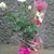 Anibal Gutierrez's profile image
