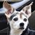 Di Kinney's profile image
