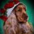 Sandra Taale's profile image