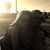 Angela Clemmons Lewis's profile image