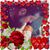 Sean Steensen's profile image