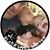 Steve Nelson's profile image