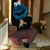 Ron Bevilacqua's profile image