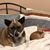 Ginny Peiser's profile image