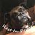 Katina Bennett's profile image