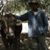 Archy Mejya's profile image