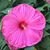 Renita B Johnson's profile image