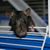 Debra D'Amato's profile image