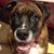 Valerie Scott's profile image