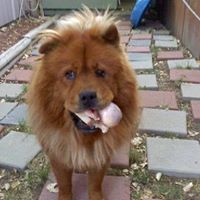 Vicki Winterroth's profile image