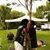 Kendall Y Fujii's profile image