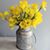 Liz Hader Cariglio's profile image