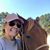 Gail Thomas's profile image