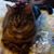 Helen Hmielewski's profile image