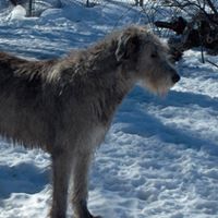 Sally Fontanetta's profile image