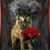 Betty Keeler's profile image