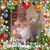 Douglas McGregor's profile image