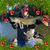 Greg Mueller's profile image